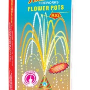 Flower Pots Big